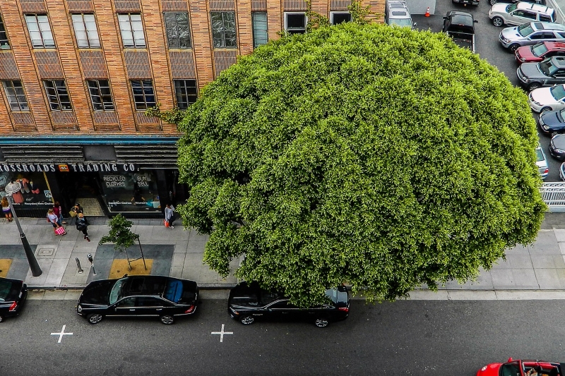 Quelle: AUTOFAHRERSEITE.EU